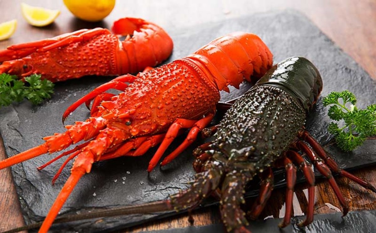 Lobsters from South Africa
